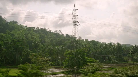 Car side window view of green coconut palm tree forest, rice terrace farming Stock Footage 252833712