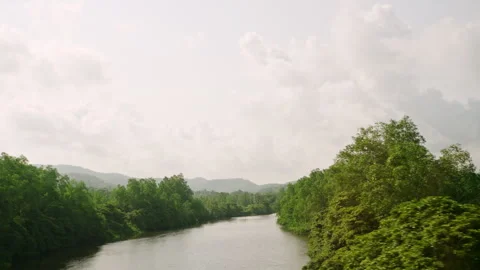 Car side window view of green coconut palm tree forest, rice terrace farming Stock Footage 253191910