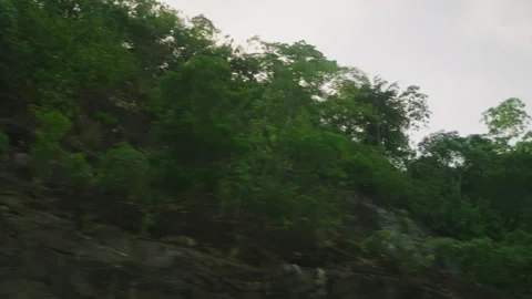 Car side window view of green forest, rocky hills with sun flares through Stock Footage 253822621