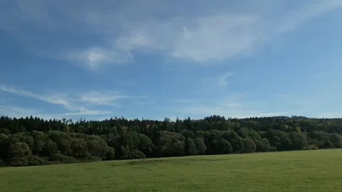 Car side window view to a meadow and forest along the road Stock Footage 118341472
