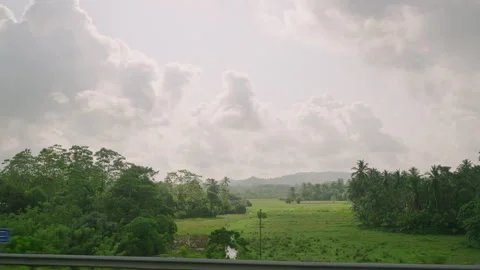 Car side window view of moody cloudy sky above green coconut palm tree tropical Stock Footage 253191067