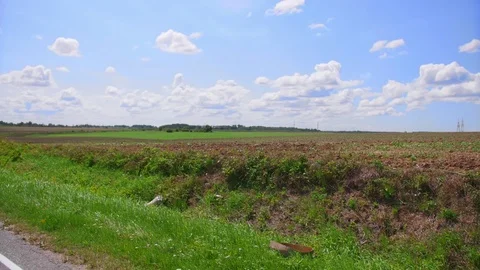 Car side window view of plantation and farm land in background. Sunny day with Stock Footage 114980279