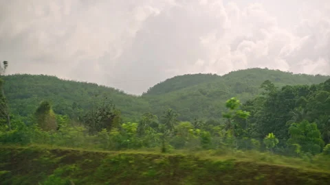 Car side window view of power lines and transmition towers in green rainforest Stock Footage 252834467