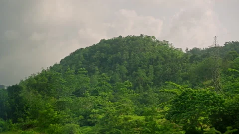 Car side window view of power lines and transmition towers in green rainforest Stock Footage 253404300
