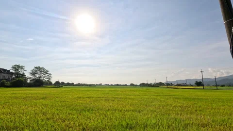Car side window view of rice fields terrace farming plantation in Yilan,Taiwan Stock-Footage 342029639