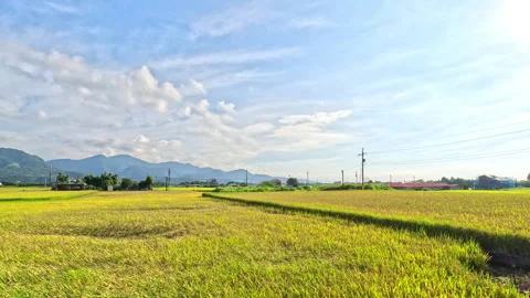 Car side window view of rice fields terrace farming plantation in Yilan,Taiwan Stock-Footage 342029696