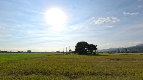 Car side window view of rice fields terrace farming plantation in Yilan,Taiwan Stock-Footage 342029745
