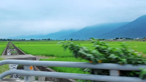 Car side window view of rice fields terrace farming plantation in East Longitudi Видео 345892506