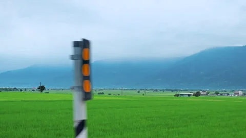 Car side window view of rice fields terrace farming plantation in East Longitudi Видео 345892906