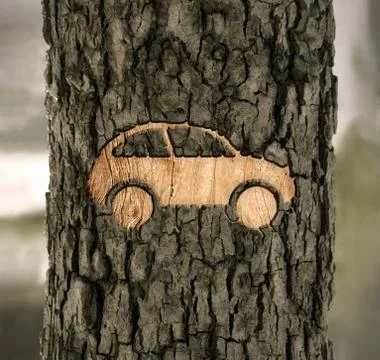 Car sign on the bark Stock Illustration