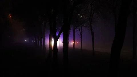 Car with siren at night Stock Footage 165346310