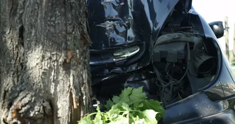 A car smashed on the tree on the city street - close-up Stock Footage 89520211