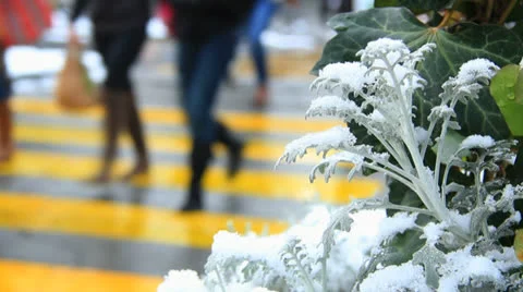 Car in snow in city Stock-Footage 24779594