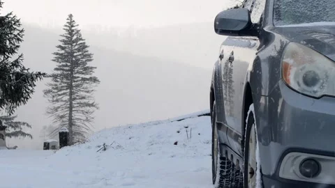 Car snow mountain pine tree Stock Footage 257457100