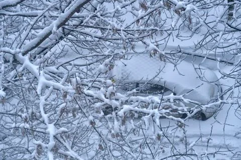 Car in the snow. Stock Photos