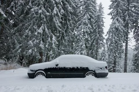 A car is snowed in with a pine forest backdrop.Image Stock Photos
