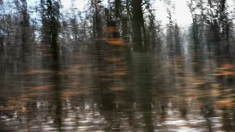 Car speeding on a road through forest Video stock 100897463