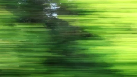 Car speeding on a road through green forest - side window blurred motion view Stock Footage