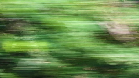 Car speeding on a road through green forest Video stock 94855733