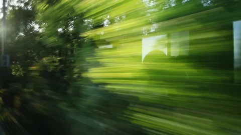 Car speeding on a road through green forest - side window blurred motion view Video stock 103796959