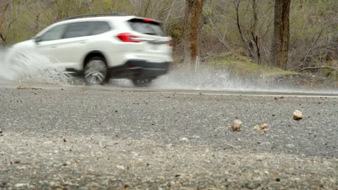 Car splashing water Stock Footage 235384798
