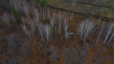 A car standing in an autumn birch forest, top view. The family came to the Stock Footage 270140348