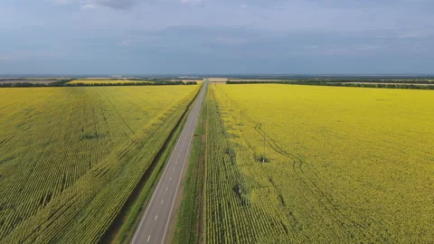 Car stands on the side of an asphalt roa... | Stock Video | Pond5