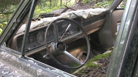 Car steering wheel Stock-Footage 506940