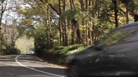 Car Stiring up Leaves Stock Footage 126566701