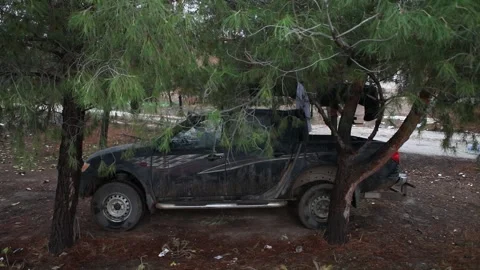 Car stuck among trees 動画素材 160122225