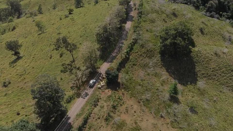 Car stuck between cows on Costa Rica mountain pass road Stock Footage 126317578