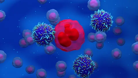 CAR T-cells attack fight and destroy cancer cell 3d render animation Stock Footage 150093778