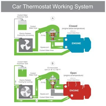 Car Thermostat Working System. When the thermostat is closed, coolant is retu Stock Illustration