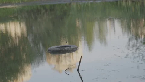 Car tire floats on surface of river in spring daytime Video stock 244773653