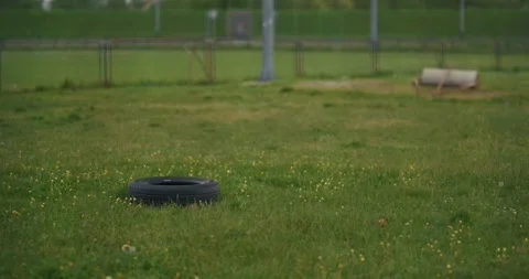 Car tire on grass field Stock Footage 332948653