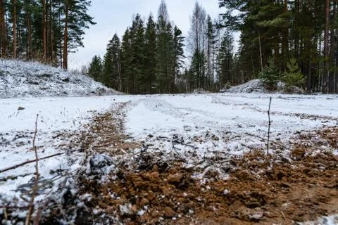 Car Tire Marks on an Empty Field Covered With Snow, Wood in the Background Foto stock