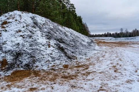 Car Tire Marks on an Empty Field Covered With Snow, Wood in the Background Фото
