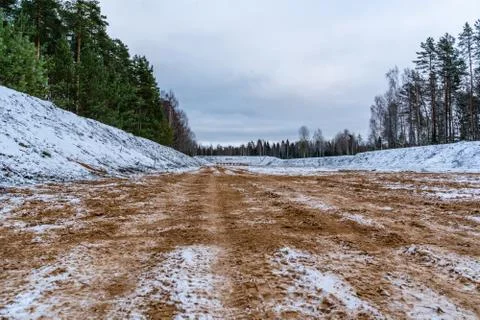 Car Tire Marks on an Empty Field Covered With Snow, Wood in the Background Foto stock