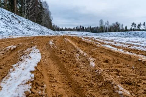 Car Tire Marks on an Empty Field Covered With Snow, Wood in the Background Foto stock