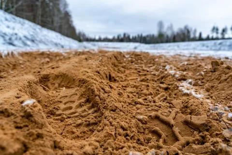 Car Tire Marks on an Empty Field Covered With Snow, Wood in the Background Foto stock