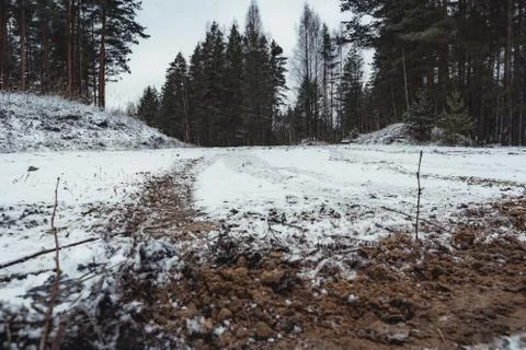 Car Tire Marks on an Empty Field Covered With Snow, Wood in the Background Stockfoto's