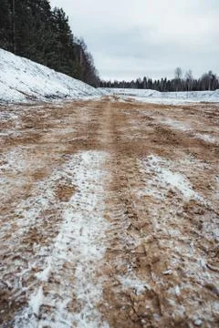 Car Tire Marks on an Empty Field Covered With Snow, Wood in the Background Foto stock
