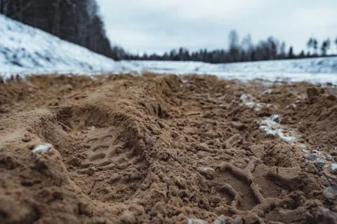 Car Tire Marks on an Empty Field Covered With Snow, Wood in the Background 写真素材