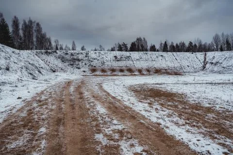 Car Tire Marks on an Empty Field Covered With Snow, Wood in the Background Stockfoto's