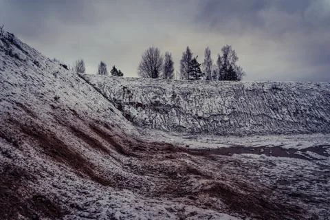Car Tire Marks on an Empty Field Covered With Snow, Wood in the Background 写真素材