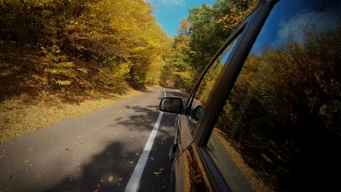 Car tire spinning while driving through bright autumn forest in sunny fall Stock Footage 118473038