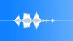 Car Tire, Squeaking, Rubber, Screech, Foley, V16 Sound Effect