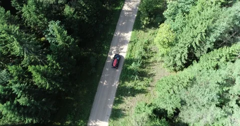 Car top view in forest Stock Footage 94989363