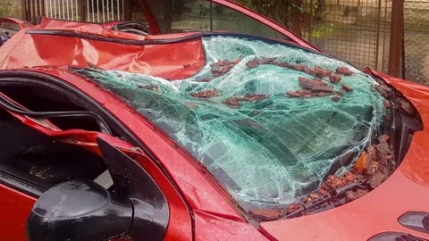 Car totally destroyed by a tree after storm. Stock Footage 83065822