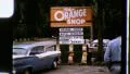 CAR TOURISTS Florida TOURIST Woman Pick Orange 1960 Vintage Film Home Movie 3319 HD Footage
